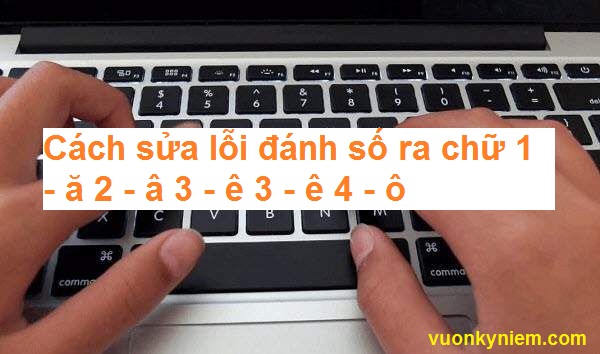 Cách sửa lỗi đánh số ra chữ 1 - ă 2 - â 3 - ê 3 - ê 4 - ô